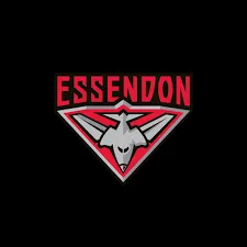 Original Essendon logo supplied by a customer
